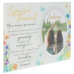 Embrace Sentiment Frame Special Friend
