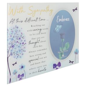Sympathy Frame